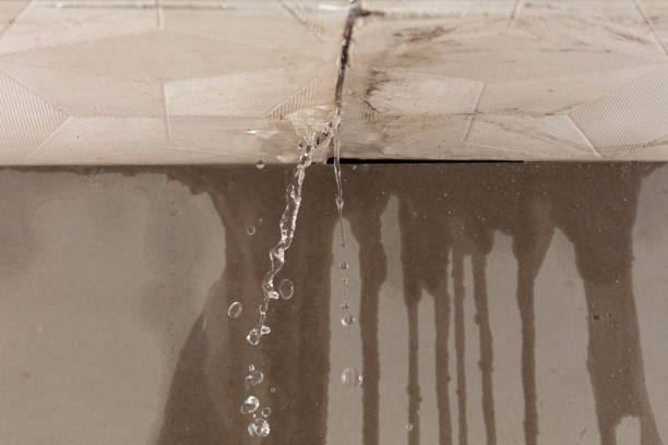 Professional Structural Drying technician working in Belmont, OH
